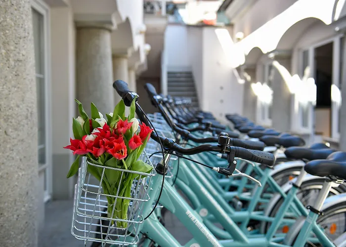 Cha Cha ゲストハウス