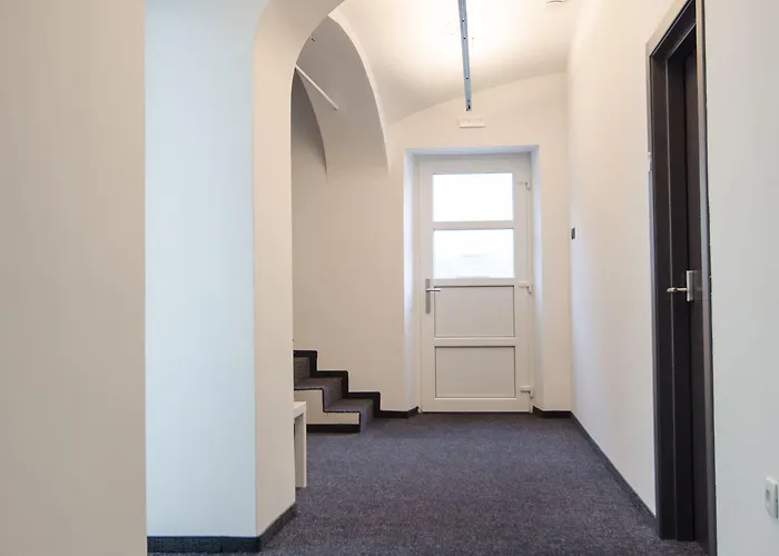 Cha Cha リュブリャナ