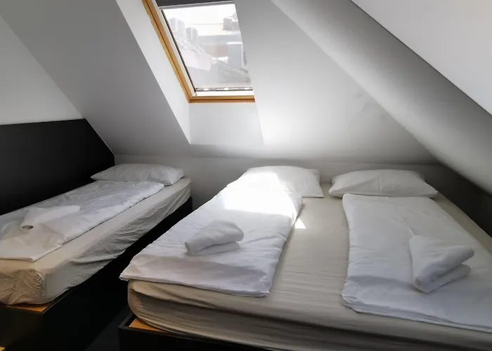 Cha Cha リュブリャナ