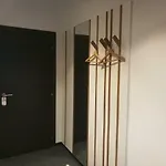 Cha Cha リュブリャナ